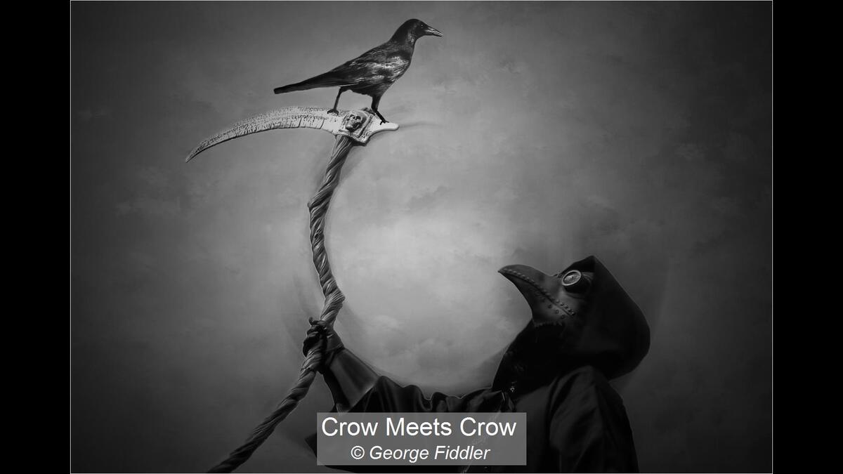 Crow Meets Crow